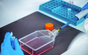 فلاسک کشت سلولی 25