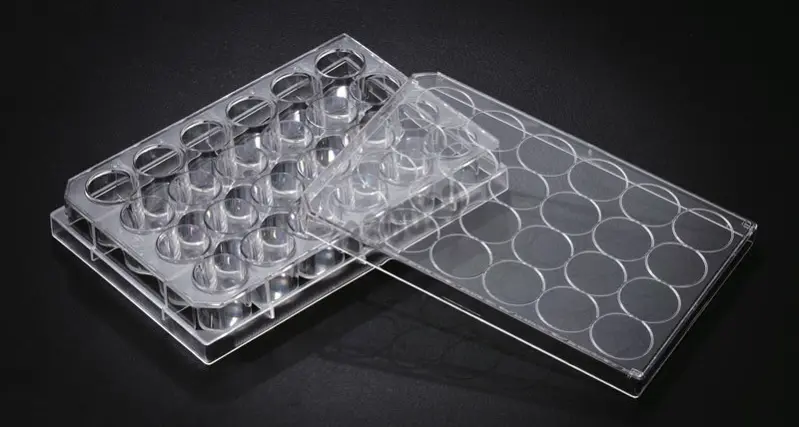 پلیت کشت سلول 24 خانه