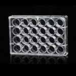 پلیت کشت سلول 24 خانه