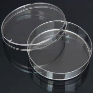 petri-dish8