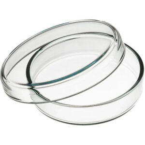 پتری دیش 10 سانتی‌متر