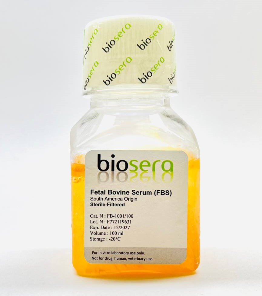 سرم جنین گاوی