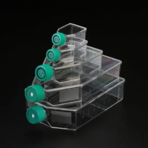 فلاسک کشت سلولی 75T