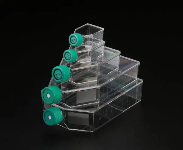 فلاسک کشت سلولی 75T