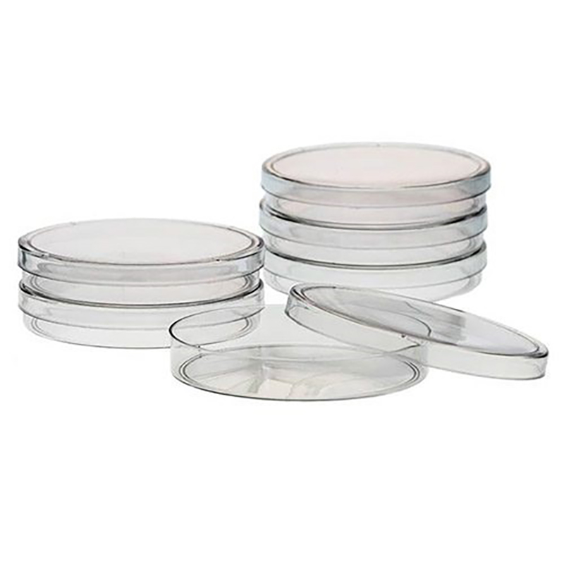 پتری دیش 6 سانتی‌متری