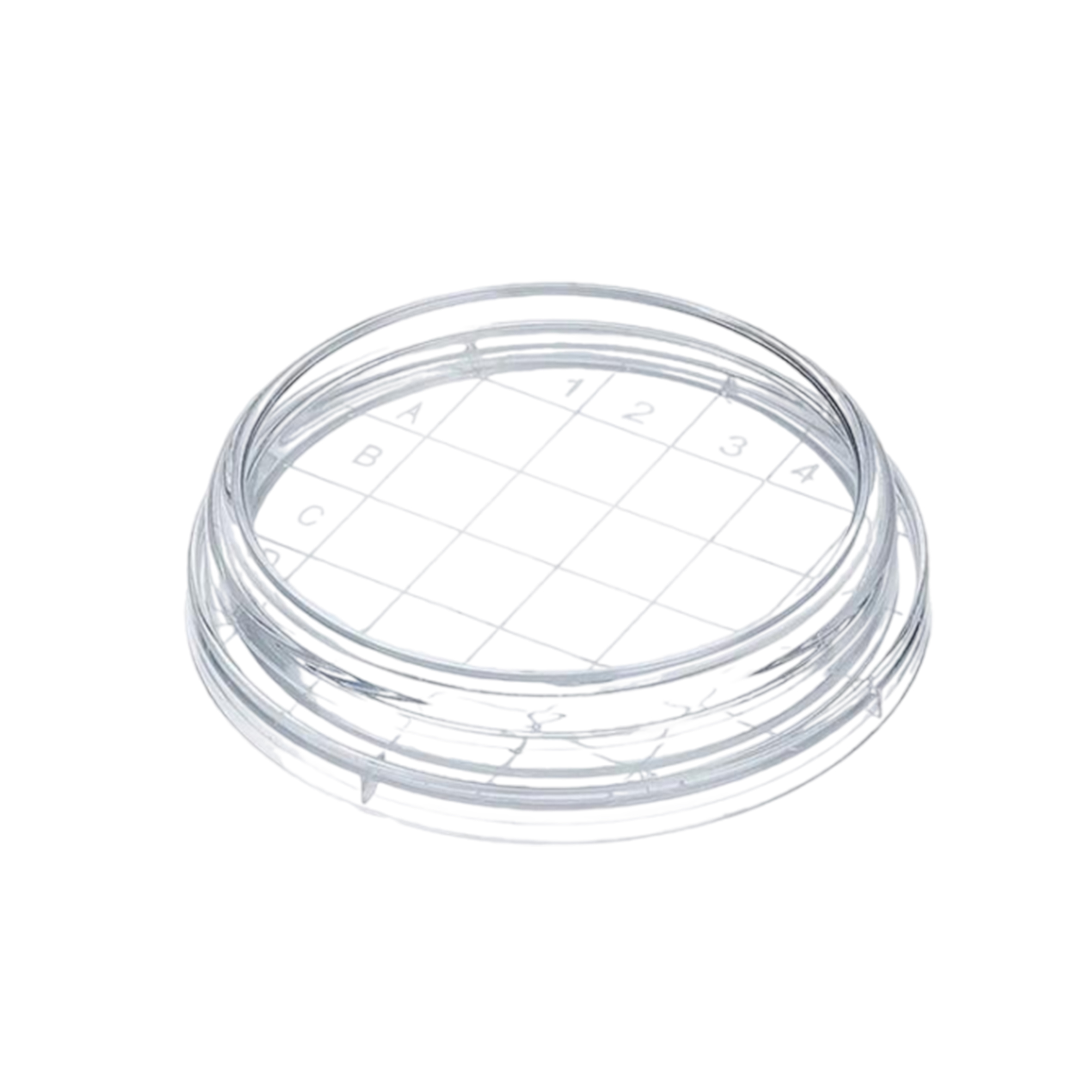 پلیت روداک.jpgکککک پلیت روداک